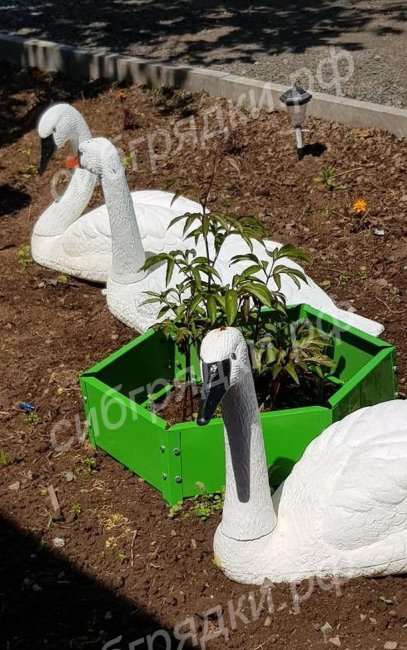 Клумба "Сота" 300 во Владивостоке Клумба "Сота" 300 во Владивостоке