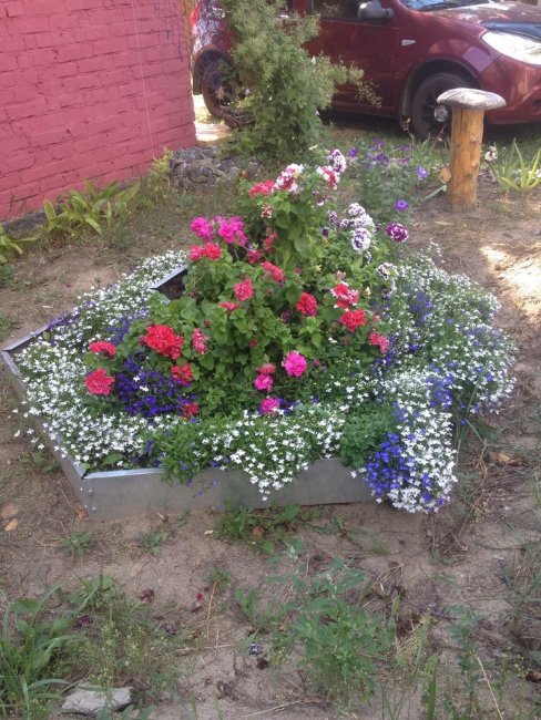 Клумба "Сота" 400 оцинкованная во Владивостоке